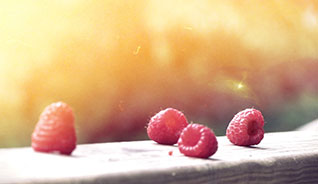 自动化监控的轰炸手机号在线使用